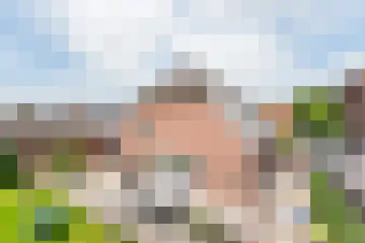 Schoolstraat 15 Ulft thumbnail 4