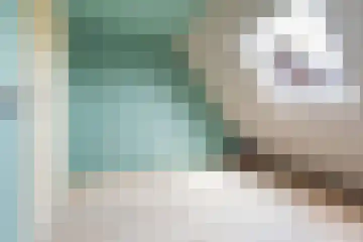 Schoolstraat 15 Ulft thumbnail 45