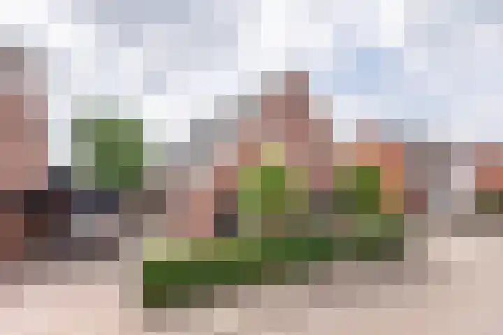 Schoolstraat 15 Ulft thumbnail 5