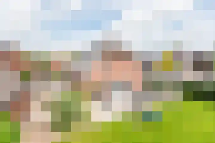 Schoolstraat 15 Ulft thumbnail 51