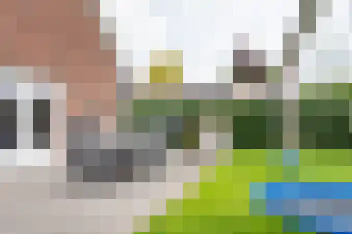 Schoolstraat 15 Ulft thumbnail 55