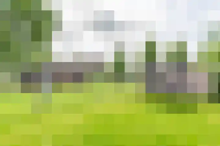 Schoolstraat 15 Ulft thumbnail 60