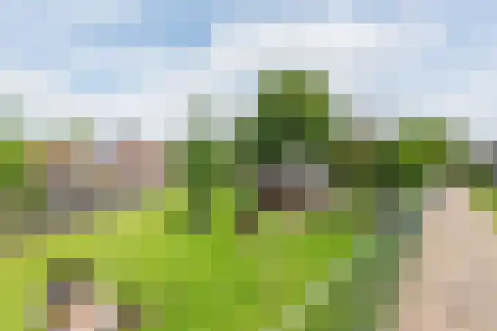 Schoolstraat 15 Ulft thumbnail 62