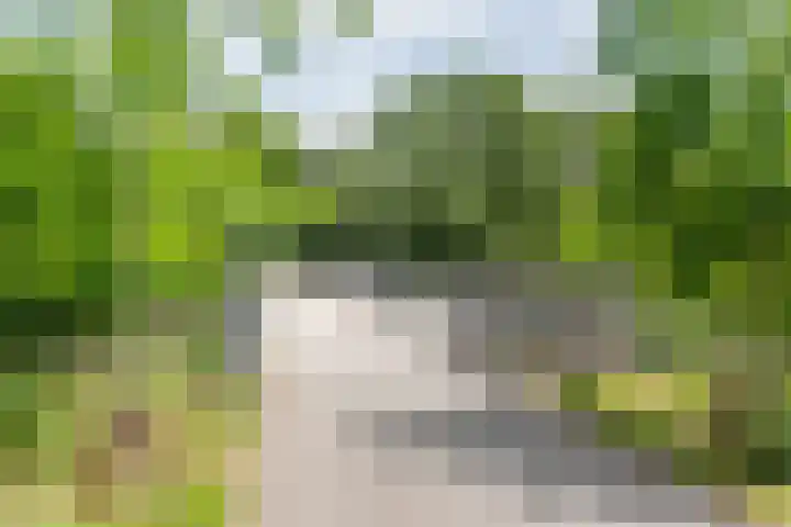 Schoolstraat 15 Ulft thumbnail 63