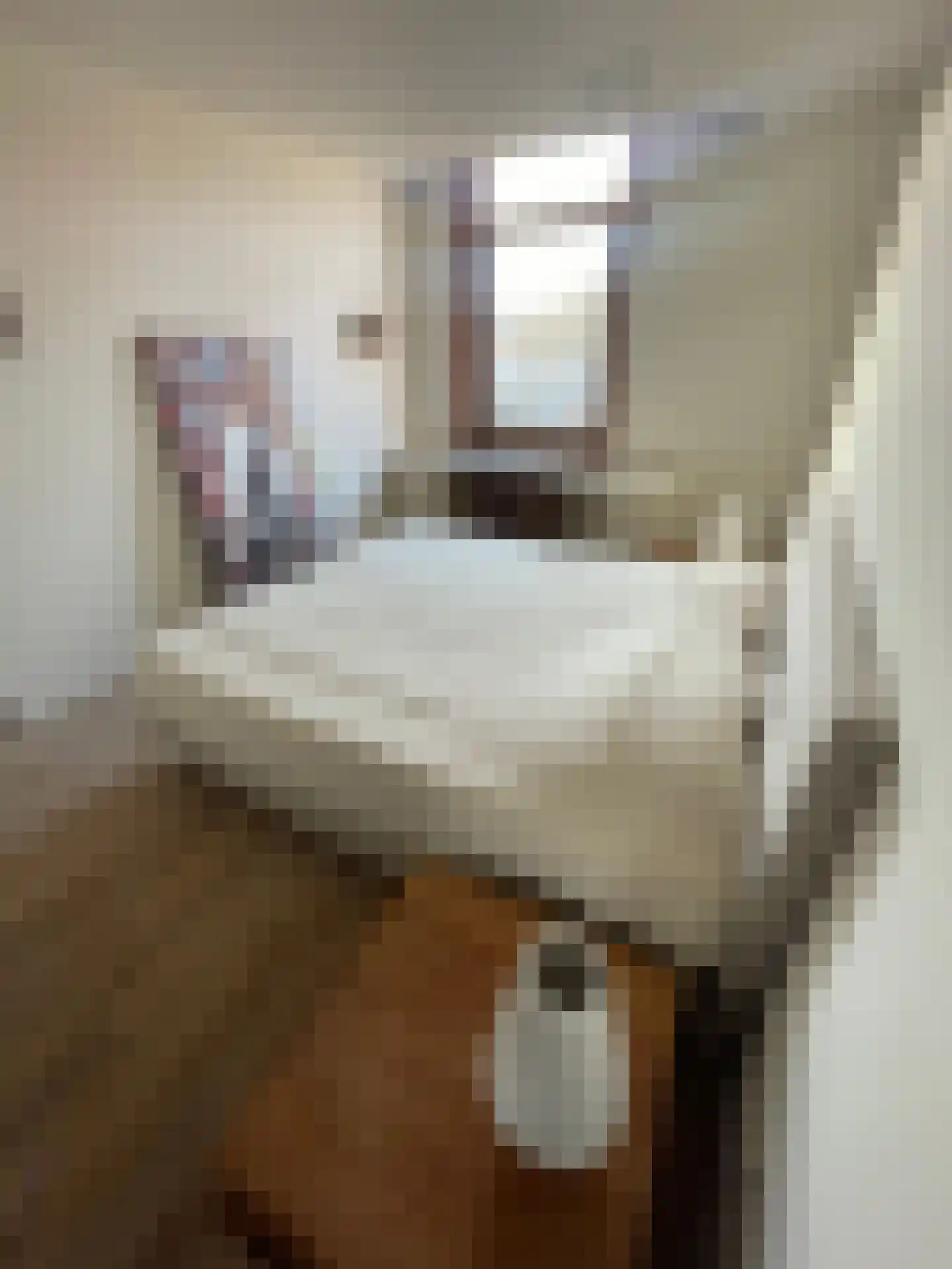 Schoolstraat 15 Wassenaar thumbnail 22