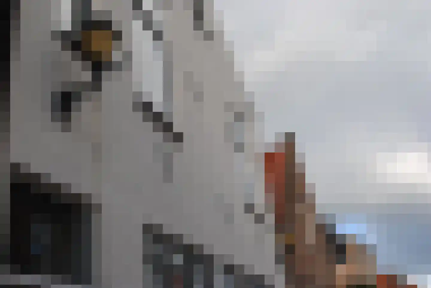 Schoolstraat 15 Wassenaar thumbnail 22