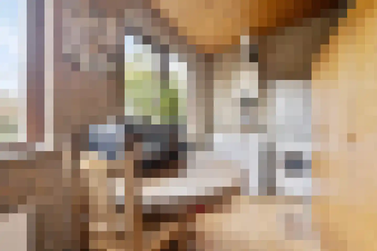 Schoolstraat 152 Musselkanaal thumbnail 25
