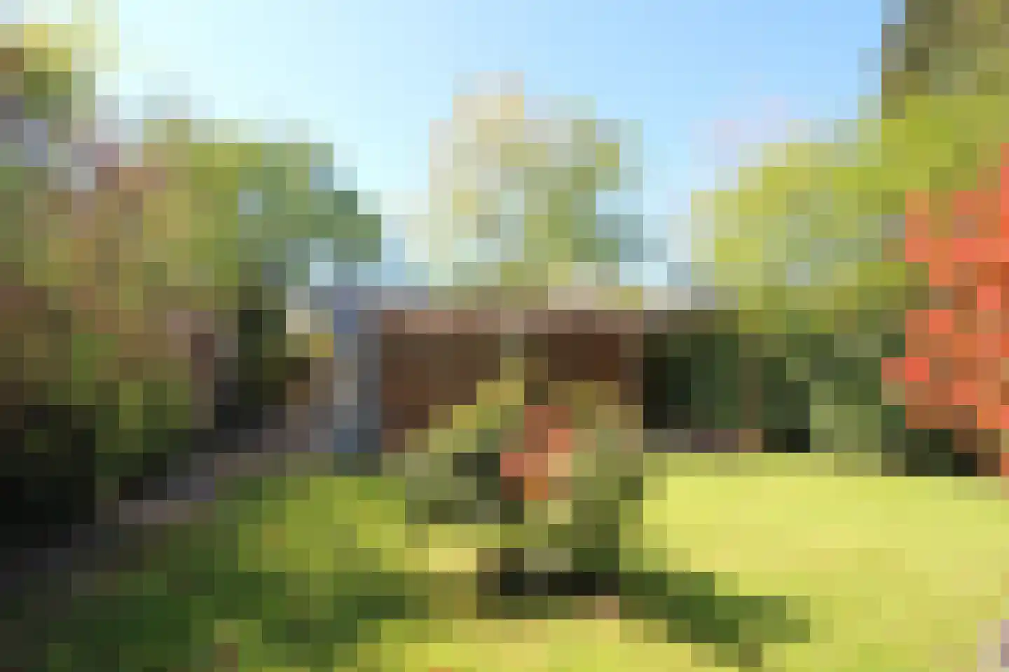 Schoolstraat 152 Musselkanaal thumbnail 42