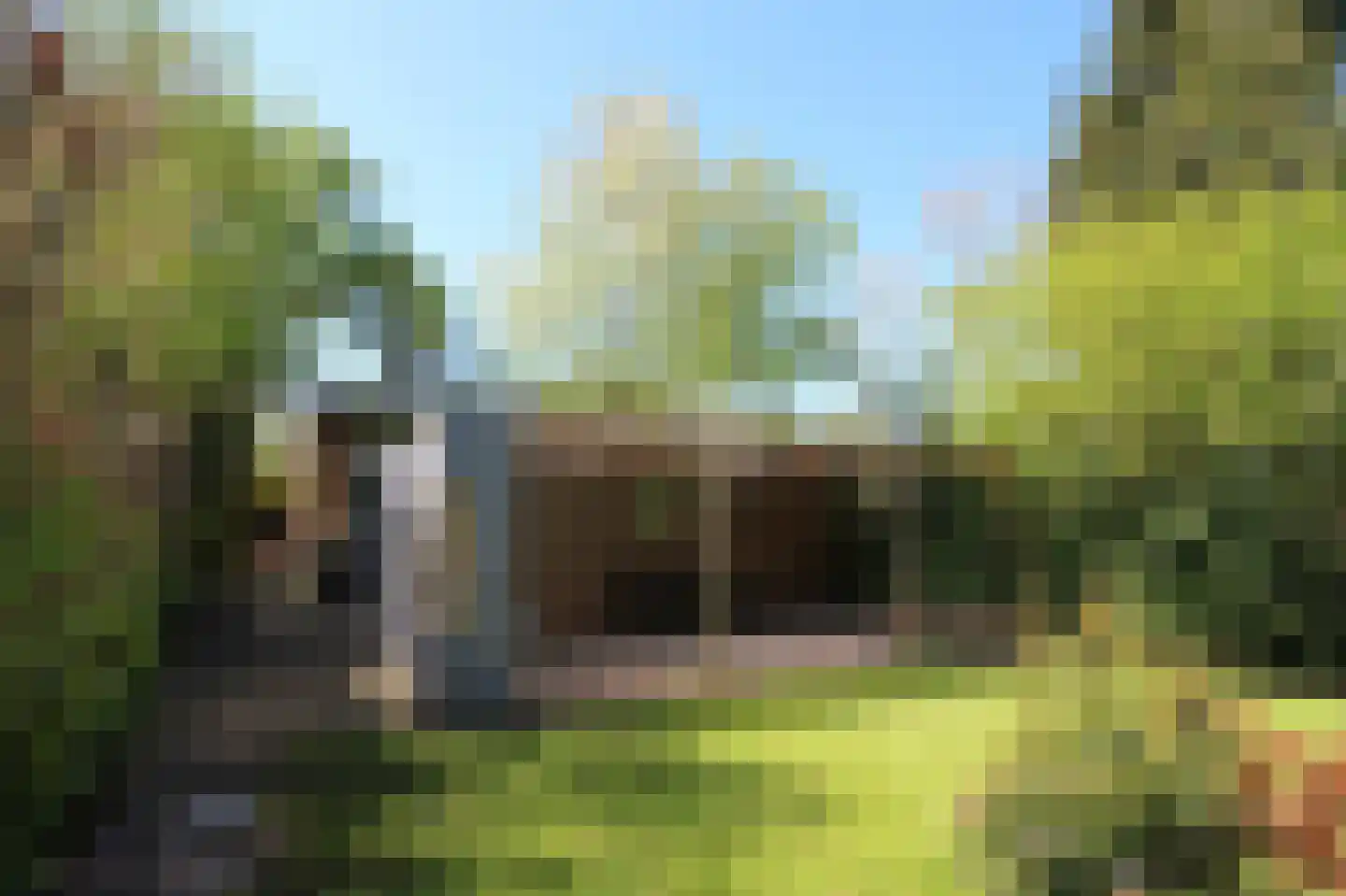 Schoolstraat 152 Musselkanaal thumbnail 43