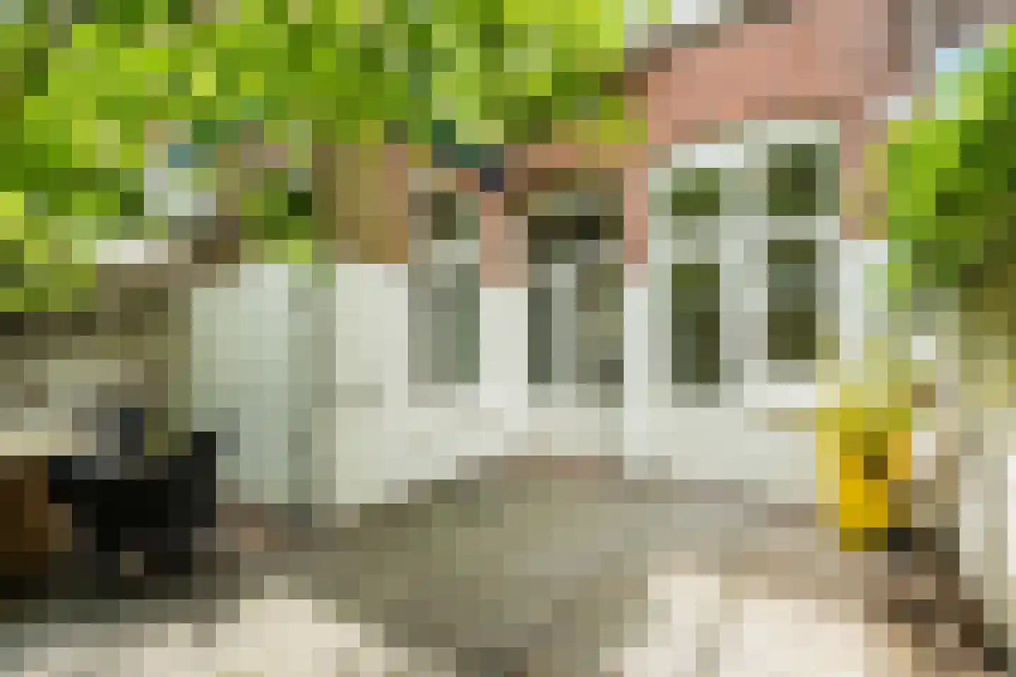 Schoolstraat 155 Nijmegen thumbnail 5