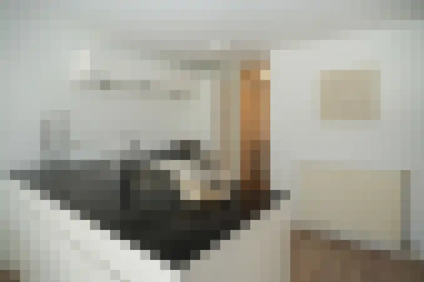 Schoolstraat 155 Tilburg thumbnail 12