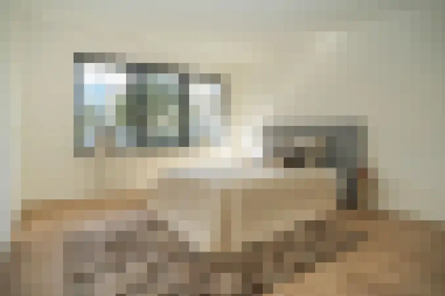 Schoolstraat 155 Tilburg thumbnail 21