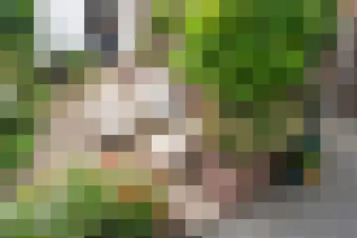 Schoolstraat 16 Almelo thumbnail 25