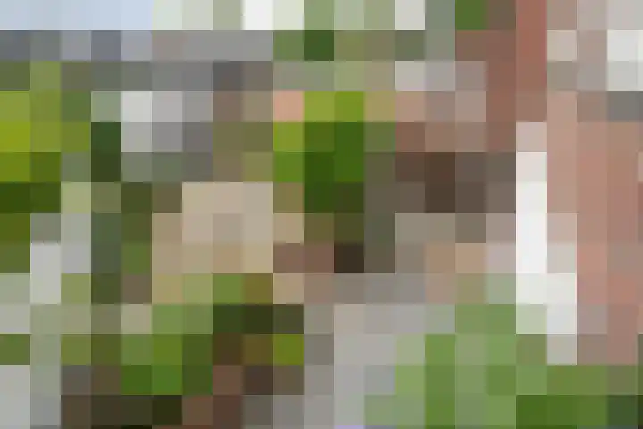 Schoolstraat 16 Almelo thumbnail 27