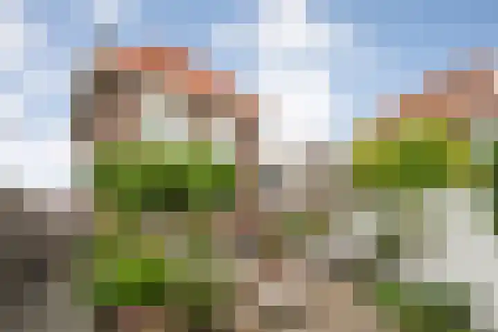 Schoolstraat 16 Almelo thumbnail 29