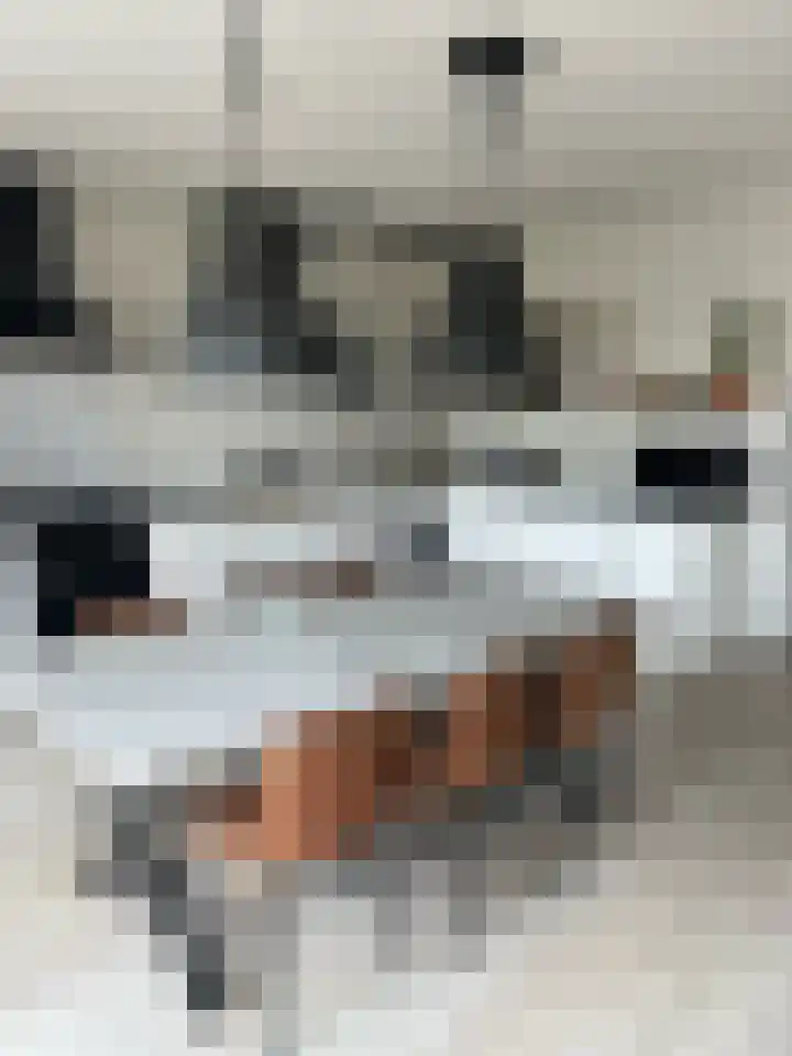 Schoolstraat 16 Eede thumbnail 10