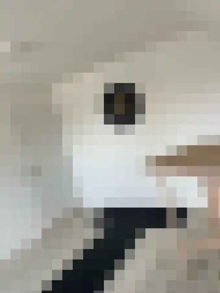 Schoolstraat 16 Eede thumbnail 18