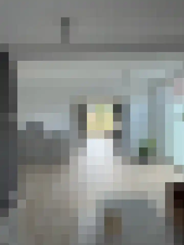 Schoolstraat 16 Eede thumbnail 8