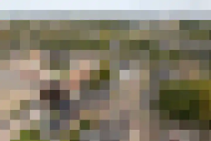 Schoolstraat 16 Heerenveen thumbnail 32
