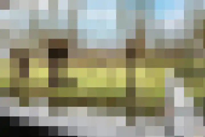 Schoolstraat 16 Hei- en Boeicop thumbnail 11