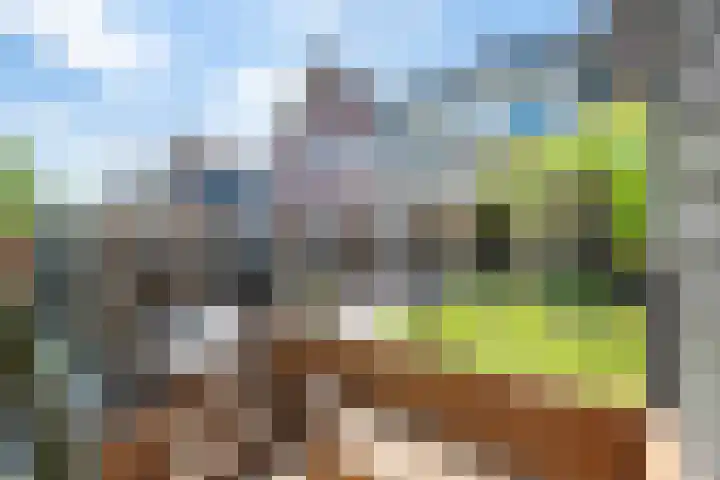 Schoolstraat 16 Hei- en Boeicop thumbnail 13