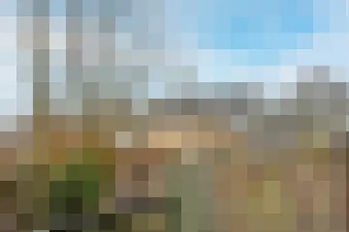 Schoolstraat 16 Hei- en Boeicop thumbnail 15