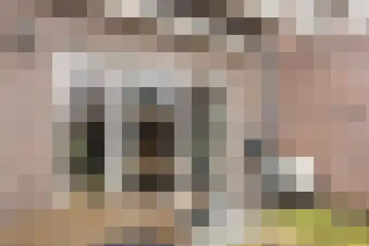 Schoolstraat 16 Hei- en Boeicop thumbnail 16