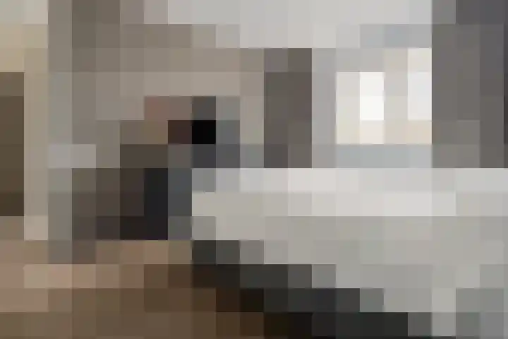 Schoolstraat 16 Hei- en Boeicop thumbnail 19