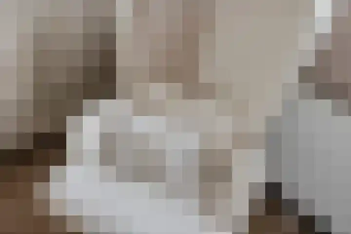 Schoolstraat 16 Hei- en Boeicop thumbnail 24