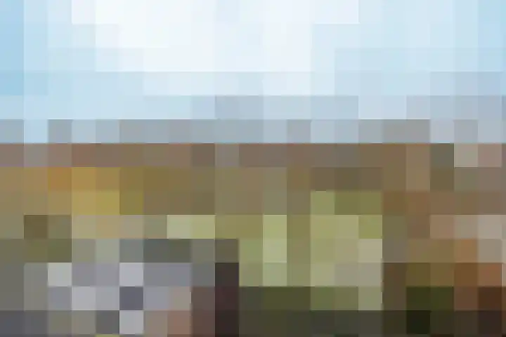Schoolstraat 16 Hei- en Boeicop thumbnail 36