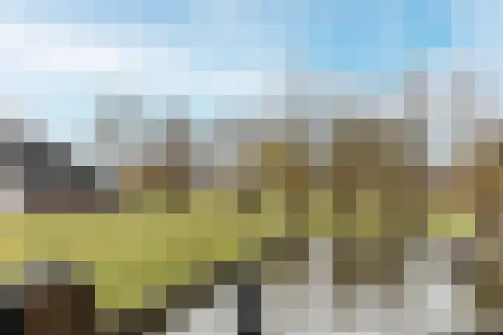 Schoolstraat 16 Hei- en Boeicop thumbnail 38