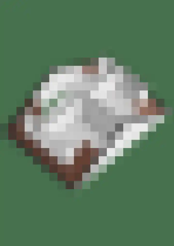 Schoolstraat 16 Hei- en Boeicop thumbnail 46
