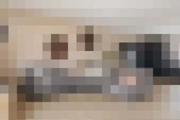 Schoolstraat 16 Hei- en Boeicop thumbnail 6