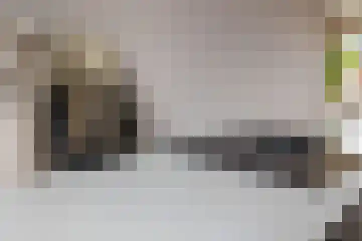 Schoolstraat 16 Hei- en Boeicop thumbnail 8
