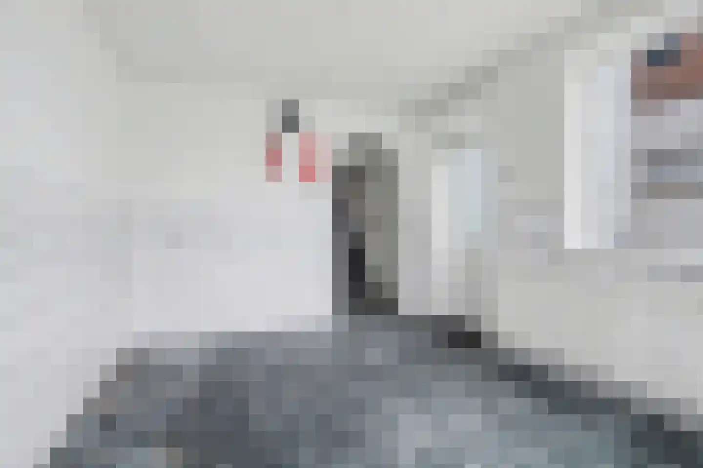 Schoolstraat 16 Moergestel thumbnail 14