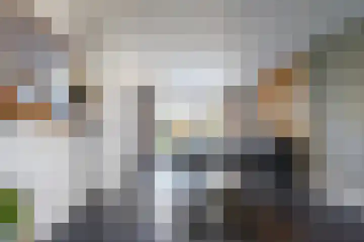 Schoolstraat 16 Oisterwijk thumbnail 11