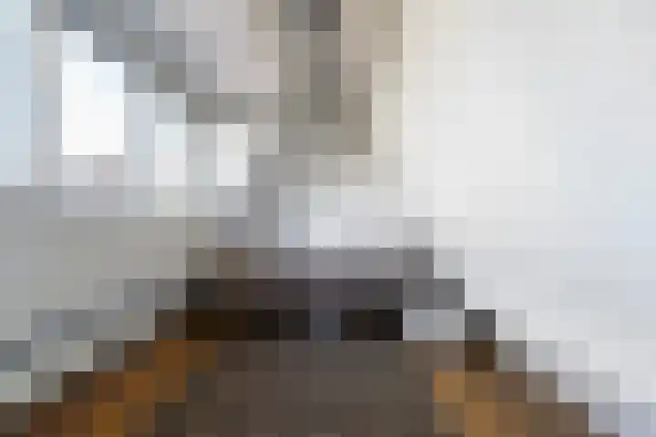 Schoolstraat 16 Oisterwijk thumbnail 41