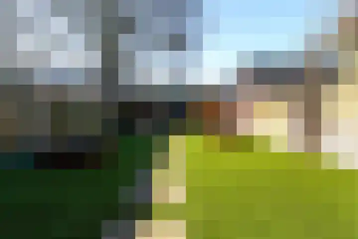 Schoolstraat 16 Oisterwijk thumbnail 46