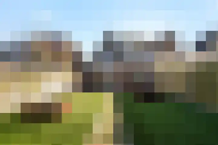 Schoolstraat 16 Oisterwijk thumbnail 49