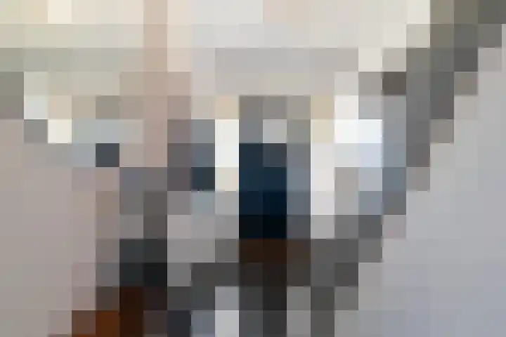 Schoolstraat 16 Oisterwijk thumbnail 5