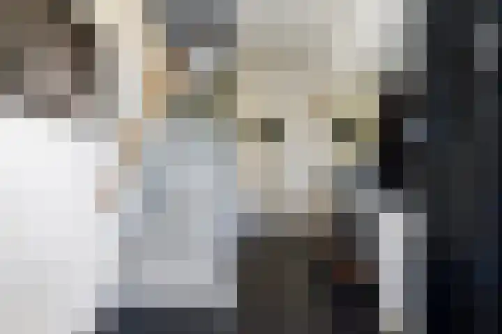 Schoolstraat 16 Oisterwijk thumbnail 6