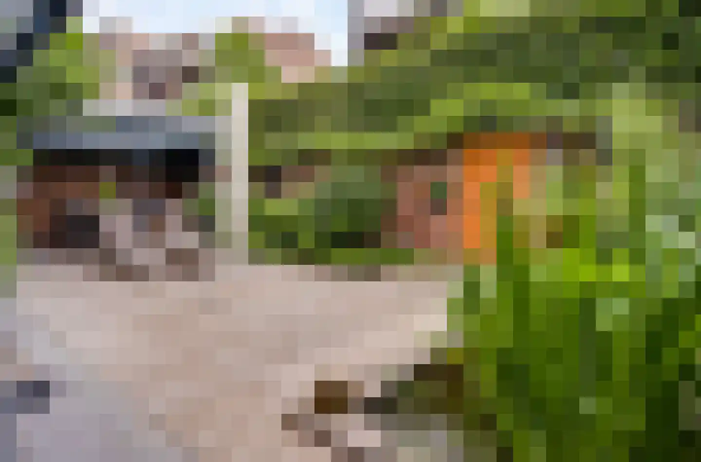 Schoolstraat 16 Weert thumbnail 21