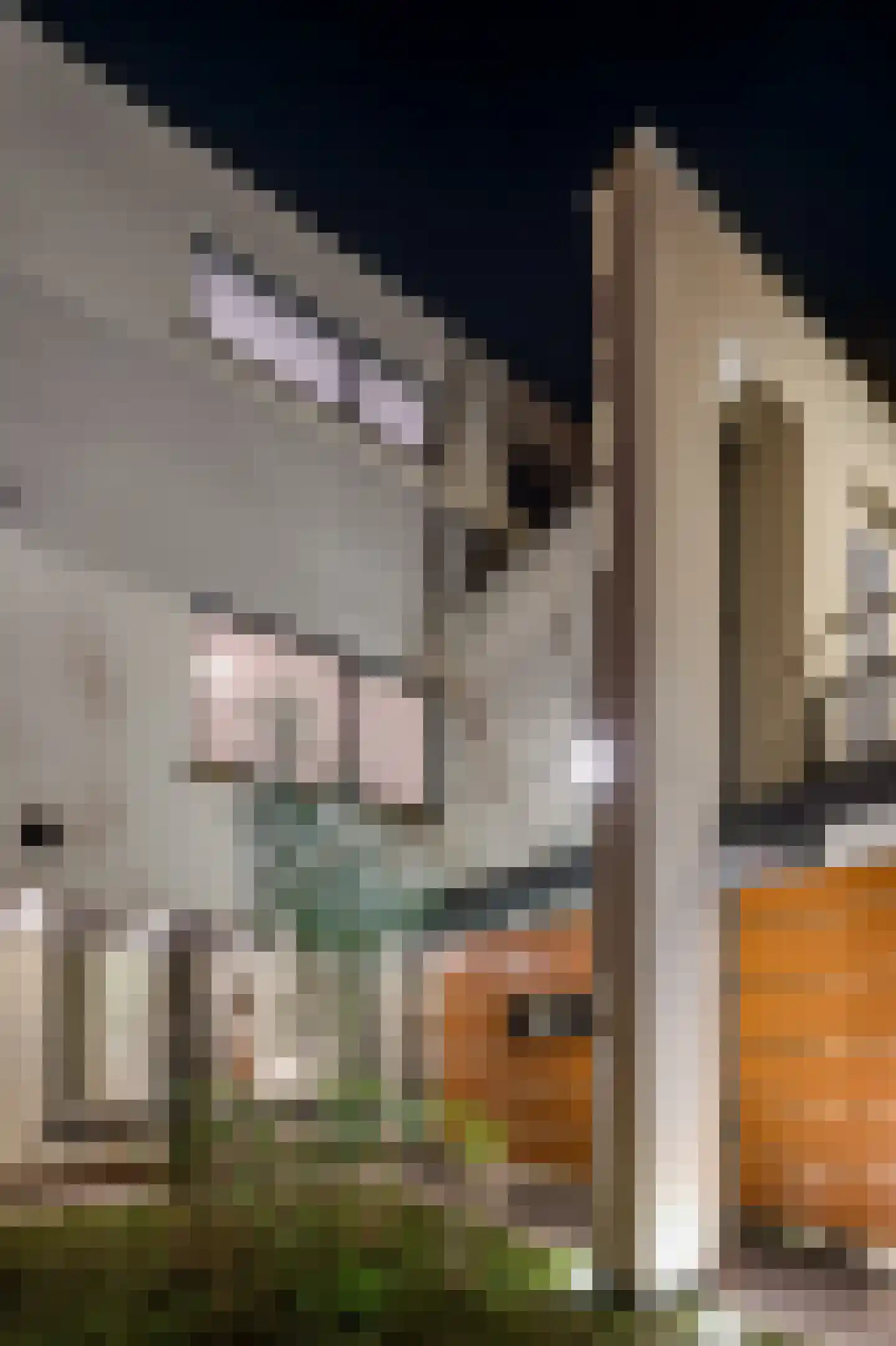 Schoolstraat 16 Weert thumbnail 38
