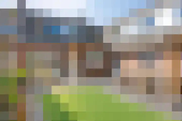 Schoolstraat 16 Zeeland thumbnail 28