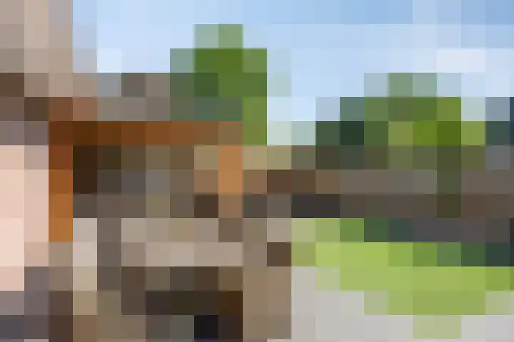 Schoolstraat 16 Zeeland thumbnail 30