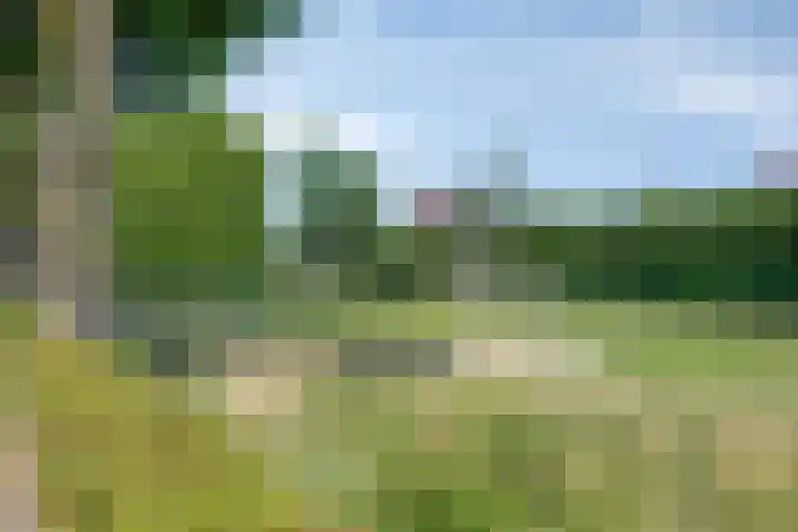 Schoolstraat 16 Zeeland thumbnail 38