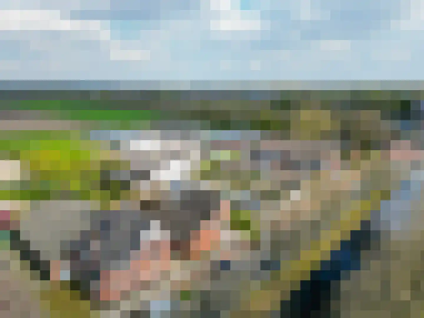 Schoolstraat 161 Musselkanaal thumbnail 40