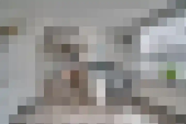 Schoolstraat 163 Belfeld thumbnail 6