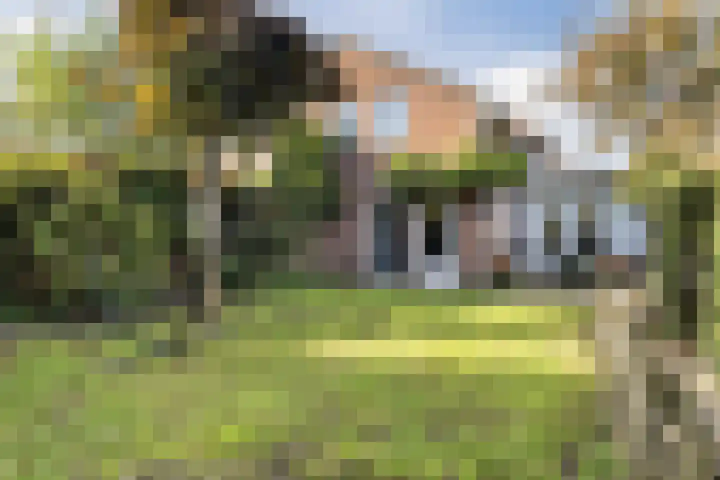 Schoolstraat 17 a Mill thumbnail 5