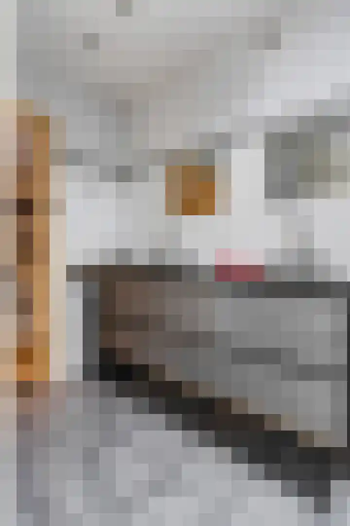Schoolstraat 17 Alphen thumbnail 35